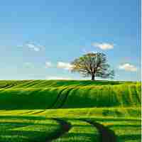 免﻿费‍cdn无﻿需‍备﻿案​